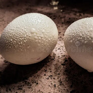 Потные яйца