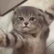 練習時間は2年半バスケットボールの新星Cxk