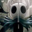 Hollow Knight Master