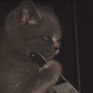 [比基尼海滩]掉毛松鼠吊