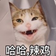 你和你的掩体一样可笑