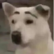 你也想偷牛爷爷的苦茶