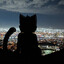 Neodacat ~ST4RLIGHT~
