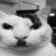 adolf_kitler