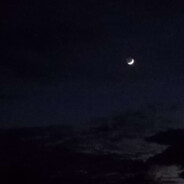 harus - steam id 76561199116159718