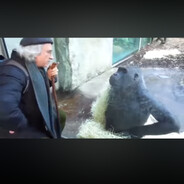 Данил Колбасенко