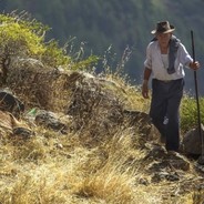 El Cabrero Solitario