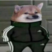 lil' doge ︻デ 一