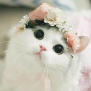 Твой ФСБшник