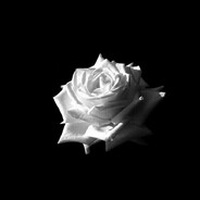 hardpadla - steam id 76561199225540635