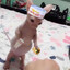 BingusBurger