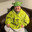DOWN SHREK