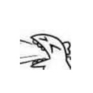 蝎❥子❥莱❥莱