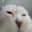 very stinky cookie