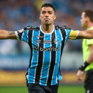 Erickmassa