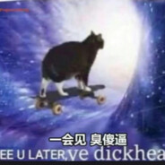 海豹突击队队长