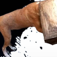 杰斯顿.威廉姆斯