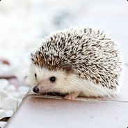 Draconisfury