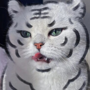 Big Avatar