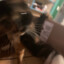 ILUVCATSLOL