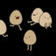 egg