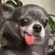 米饭依旧是一小碗