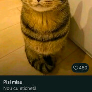 Pisi miau
