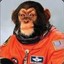 SmallMonkey