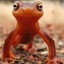 Newt