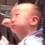 アライグマ