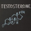 testosterone