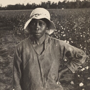 CottonPicker69