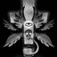 Dogma