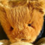 Teddy6892
