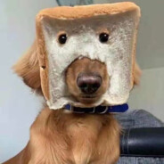 冠希欠我三百块