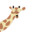 Entirely Giraffe's avatar