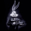 HYPE BUNNY