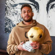 蛋蛋不会打打狙