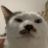 亖了的草履虫教主