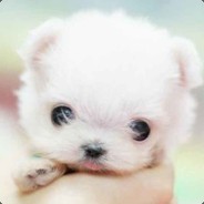 宝哥拉野，至今未归