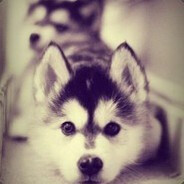 top user avatar