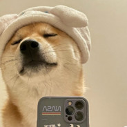 老老老老可爱蛋