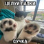 Yakier (Думайте)