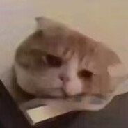 今天翻垃圾吃！