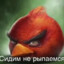 заклинатель соли