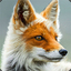 DedoFox