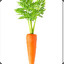 Potato Taste Carrot