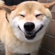 BanProgrammedProvker