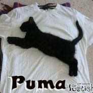 Manuel@addnew acc alexanderherdt