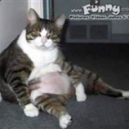 [EpIc shAnk] BillyBoB